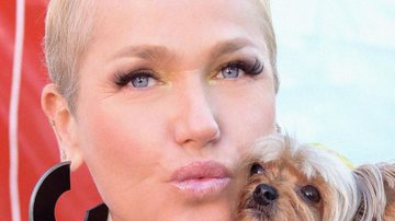 Xuxa Meneghel diz que veganos são “melhores de cama” - Instagram