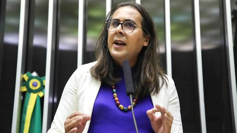 Duda Salabert (PDT) aparece com 10% das intenções de voto - Agência Câmara/Reprodução