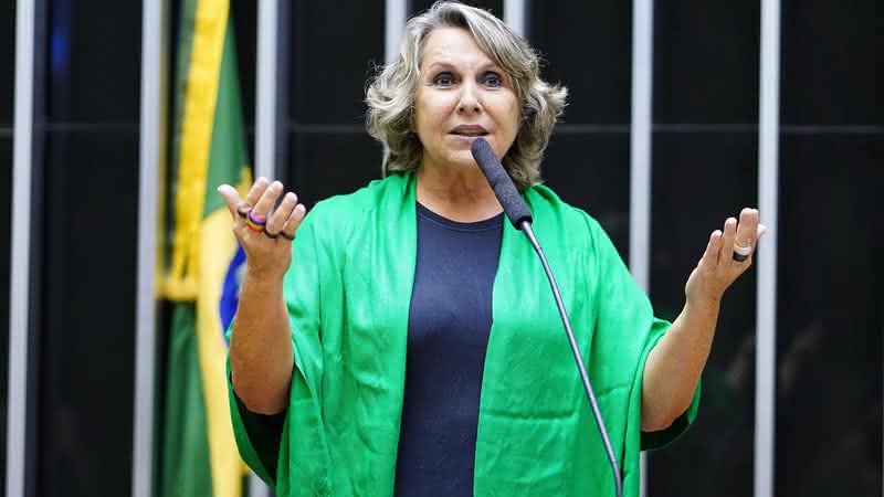 A deputada Erika Kokay (PT-DF) solicitou o debate - Agência Câmara/Reprodução