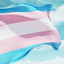 Bandeira trans