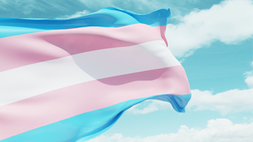 Bandeira trans - Reprodução/gettyimages