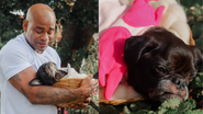 Cezar Black compartilha falecimento de Rocco, o cachorro de 11 anos - Arquivo pessoal/Instagram