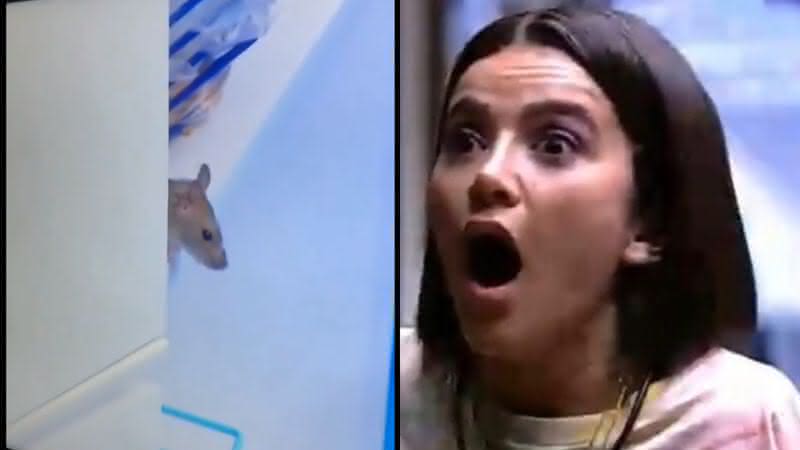 Rato invande o BBB20 - TV Globo