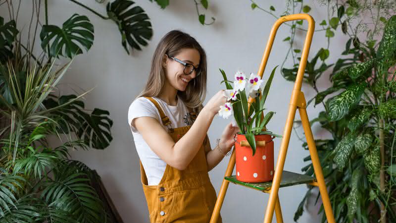 Cuidar das plantas corretamente é fundamental para mantê-las saudáveis (Imagem: DimaBerlin | Shutterstock)