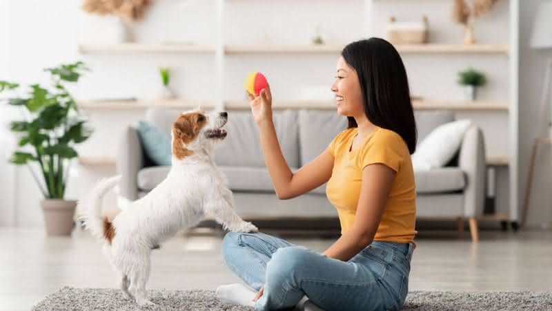 Brincar com o animal ajuda a melhorar o comportamento dele (Imagem: Prostock-studio | ShutterStock)