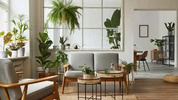 Plantas na decoração oferecem conforto e bem-estar (Imagem: Followtheflow | Shutterstock)