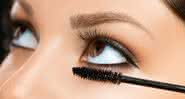 rimel  - shutterstock