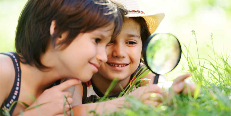 sustentabilidade - shutterstock