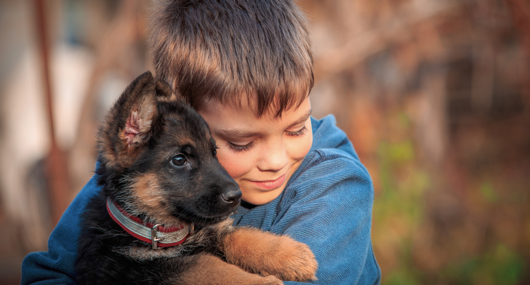 voluntario - shutterstock