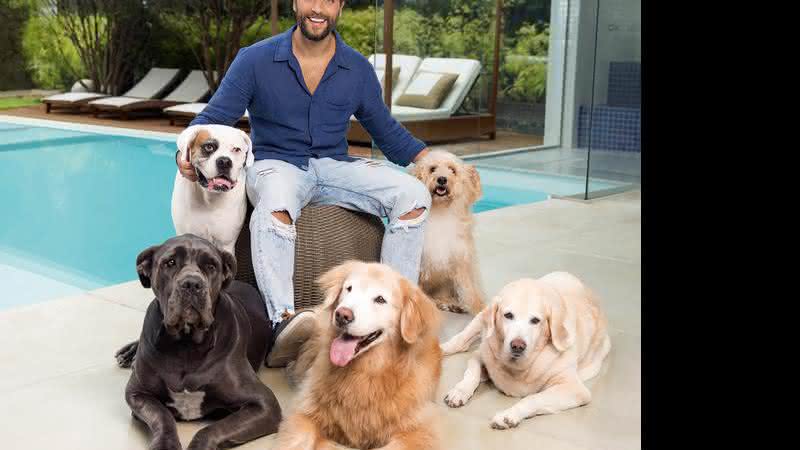 Os cães de Bruno Gagliasso e Giovanna Ewbank - Foto Divulgação Zoetis