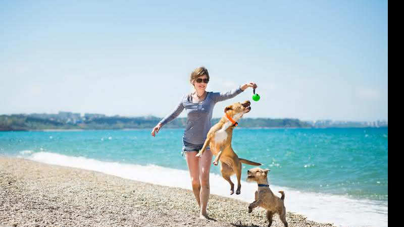 Nunca deixe seu pet sozinho se no local existir uma piscina ou próximo ao mar - Shutterstock