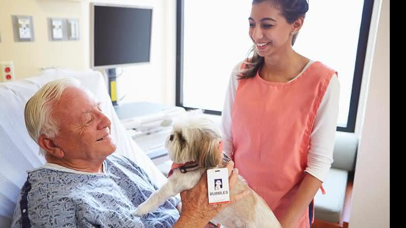 O contato de pacientes com os animais trás pelo menos dez benefícios para a saúde - Foto Divulgação ComportPet