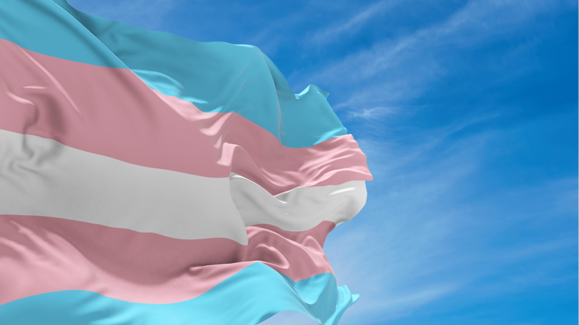 Pajubá, documentário sobre pessoas trans no Brasil, inicia gravações