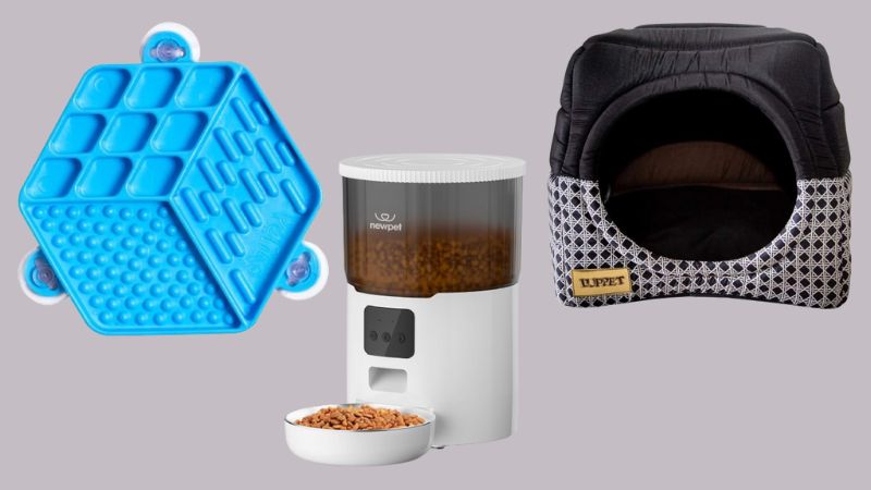 Comedouro, petisco, brinquedos e mais: 11 itens para o dia a dia do seu pet