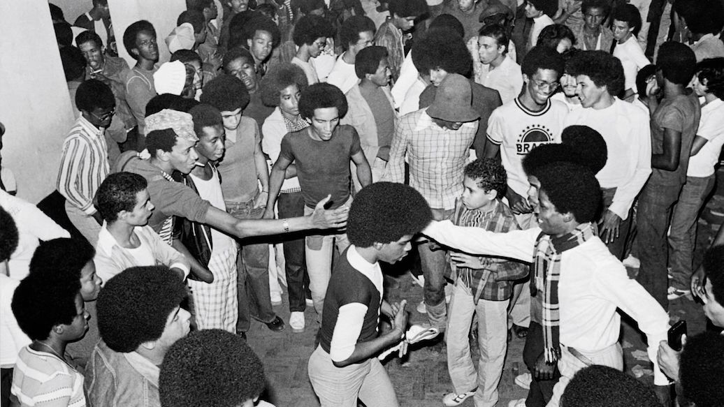 Mostra Ecofalante de Cinema aborda questões socioambientais urgentes