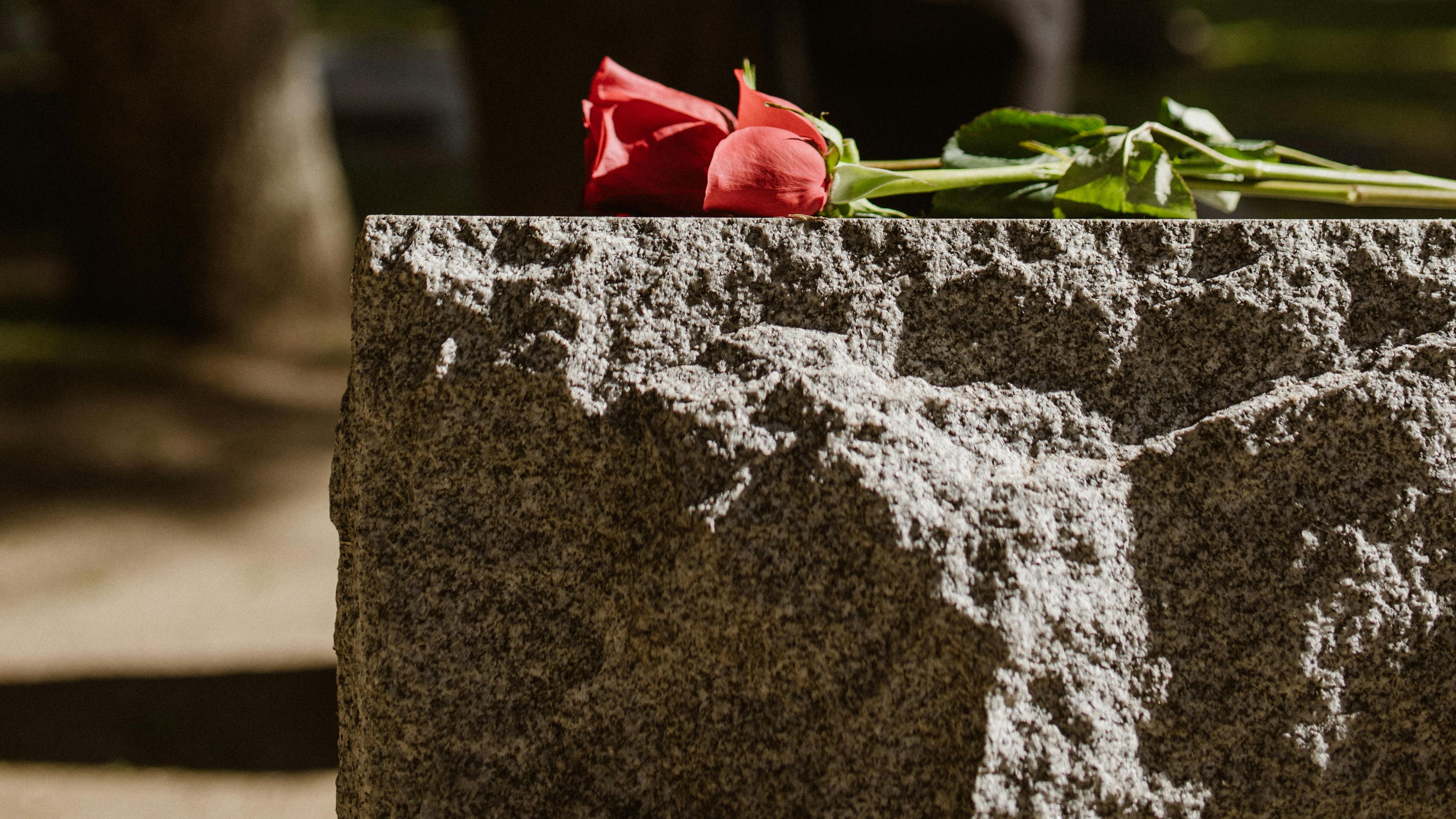 Brasil Registra 214 assassinatos de LGBTQIA+ em 2023