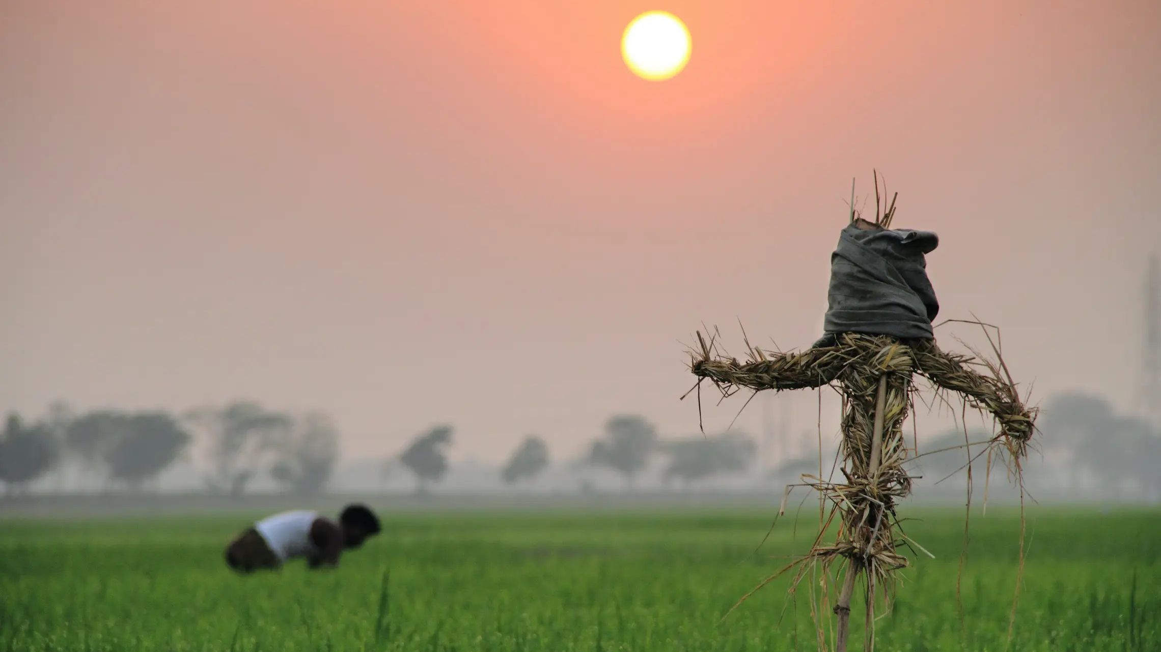 O silêncio das bichas do campo precisa ser quebrado