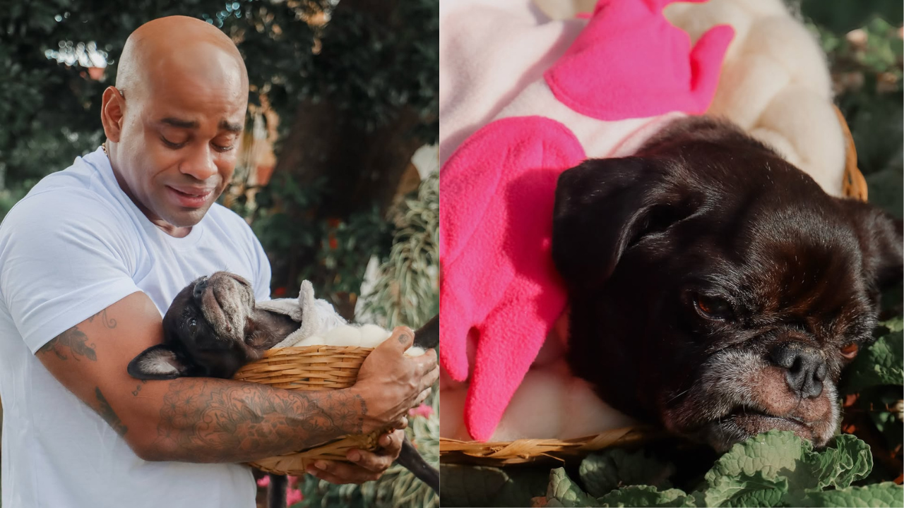 Ex-bbb Cezar Black relata falecimento de pet: ‘Meu coração nunca sofreu tanto’