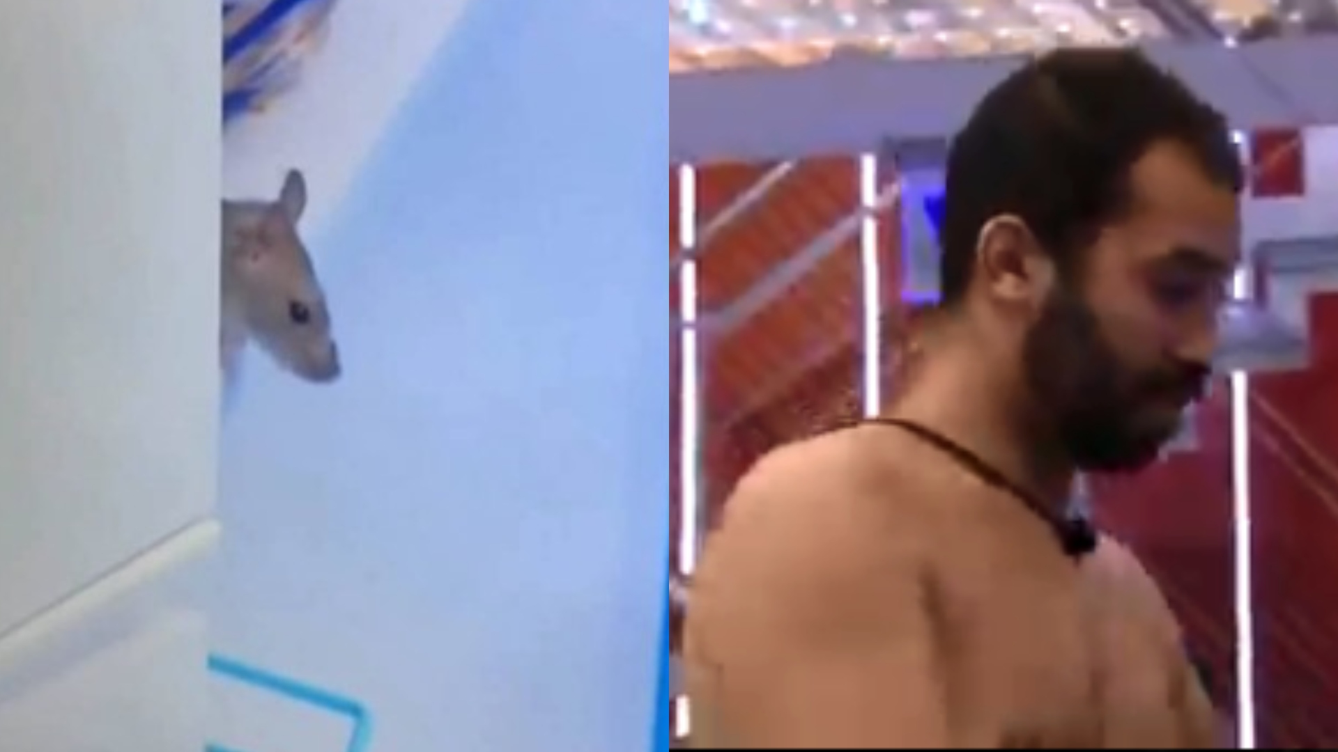 BBB21: Sentiram saudade? Rato Genilson faz suposta aparição na cozinha da casa: “Ele voltou”