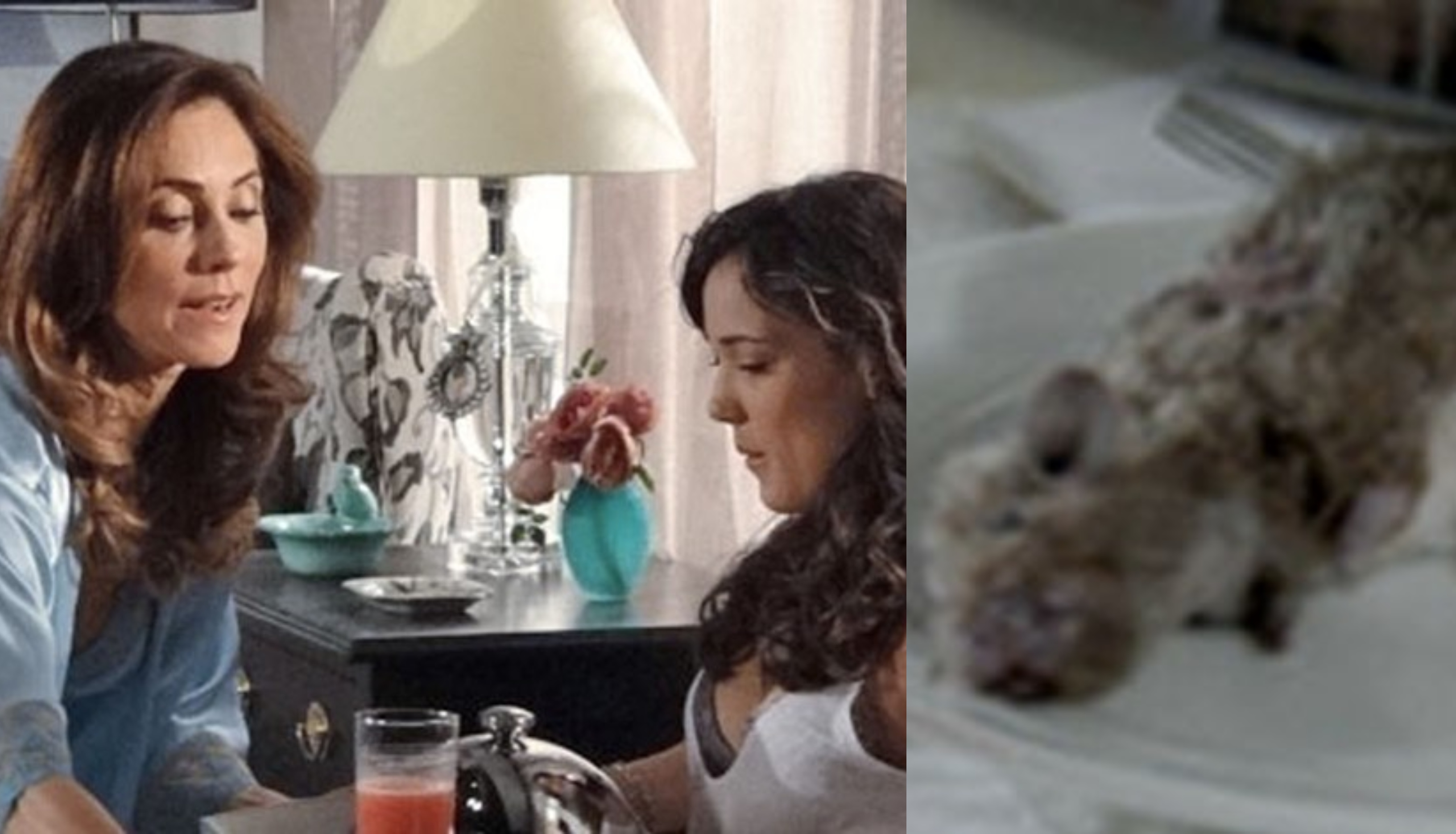 Fina Estampa: Sem limites! Tereza Cristina serve rato para filha grávida comer