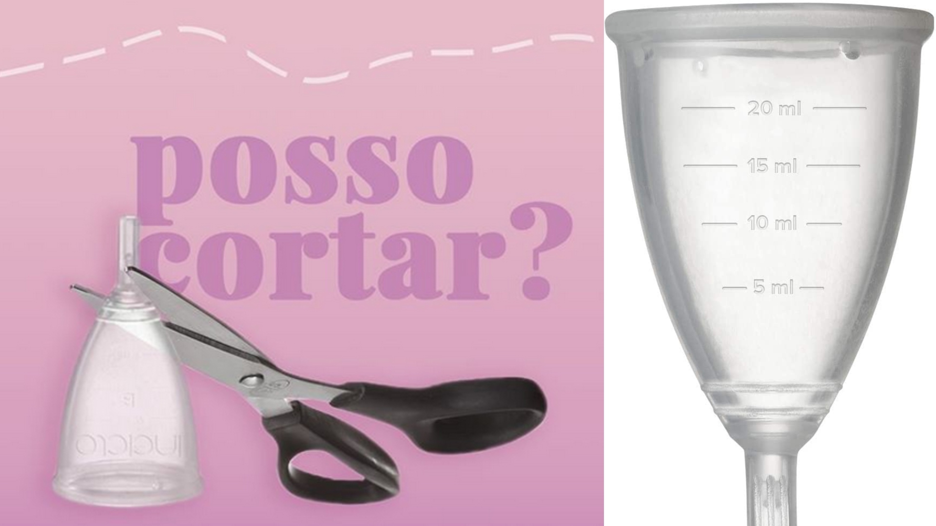 Coletor menstrual: mitos e verdades que ainda não te contaram
