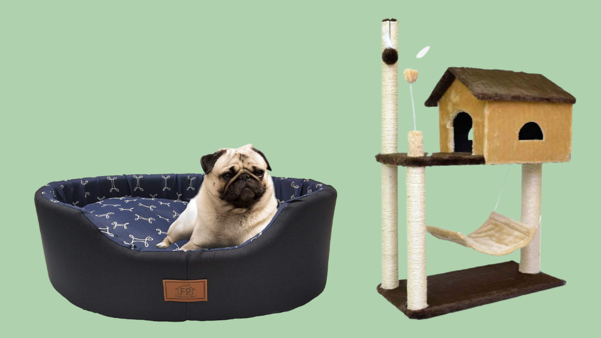 Para mimar seu pet: 15 ideias de presentes para seu amigo de quatro patas