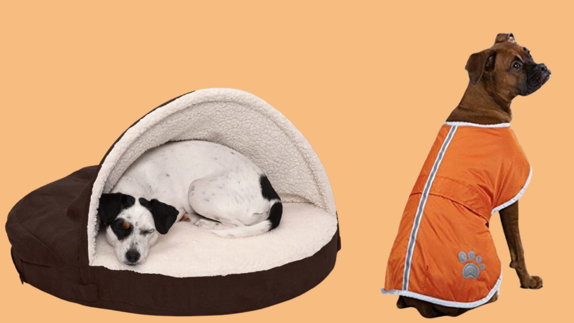 Roupas, camas e cobertores: 10 itens que vão manter o seu pet quentinho