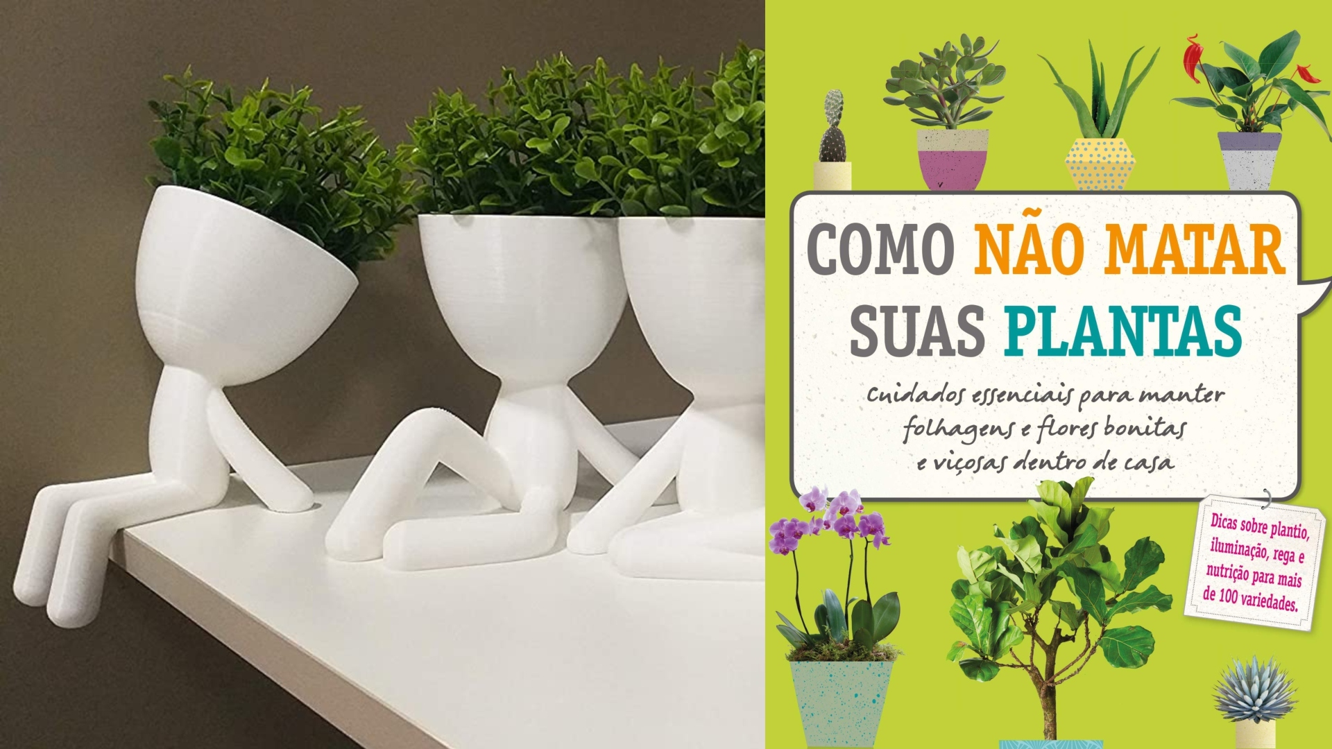 Jardinagem: 6 itens para quem ama plantas