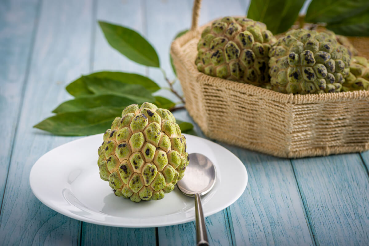 3 receitas para incluir a pinha na alimentação