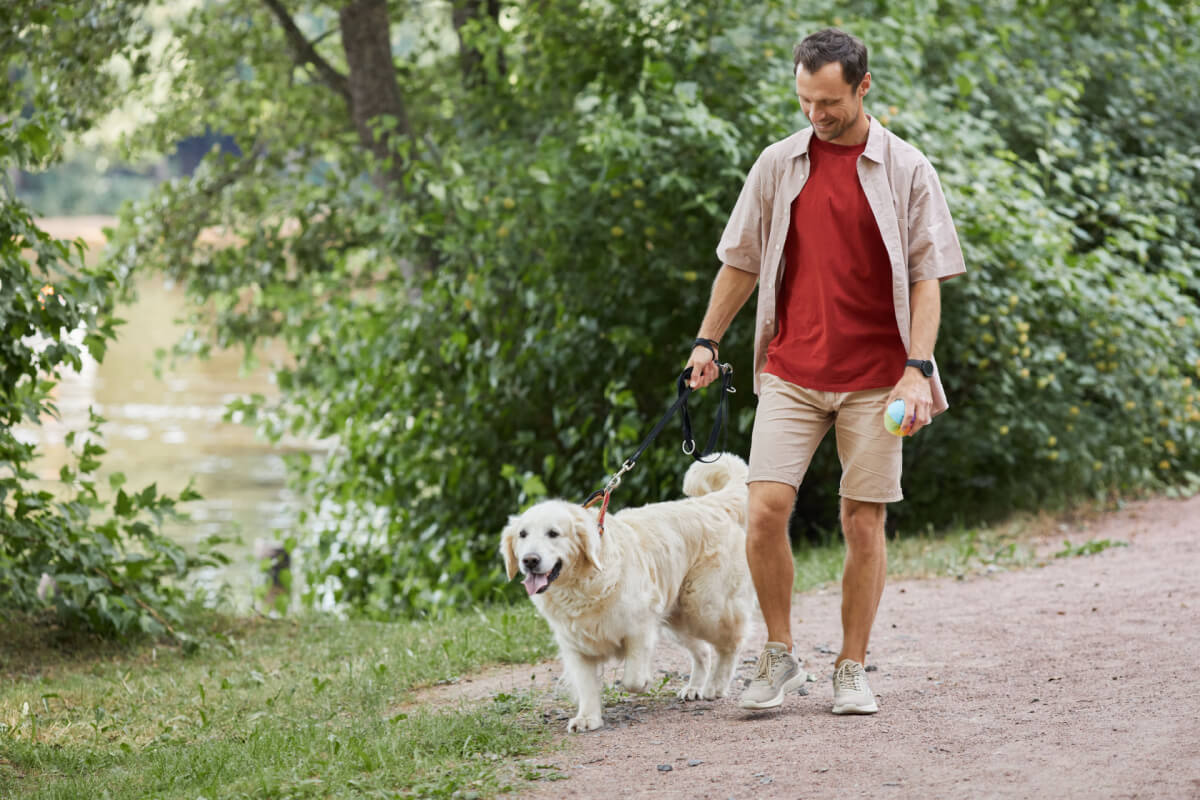 7 benefícios de contratar um passeador de cães