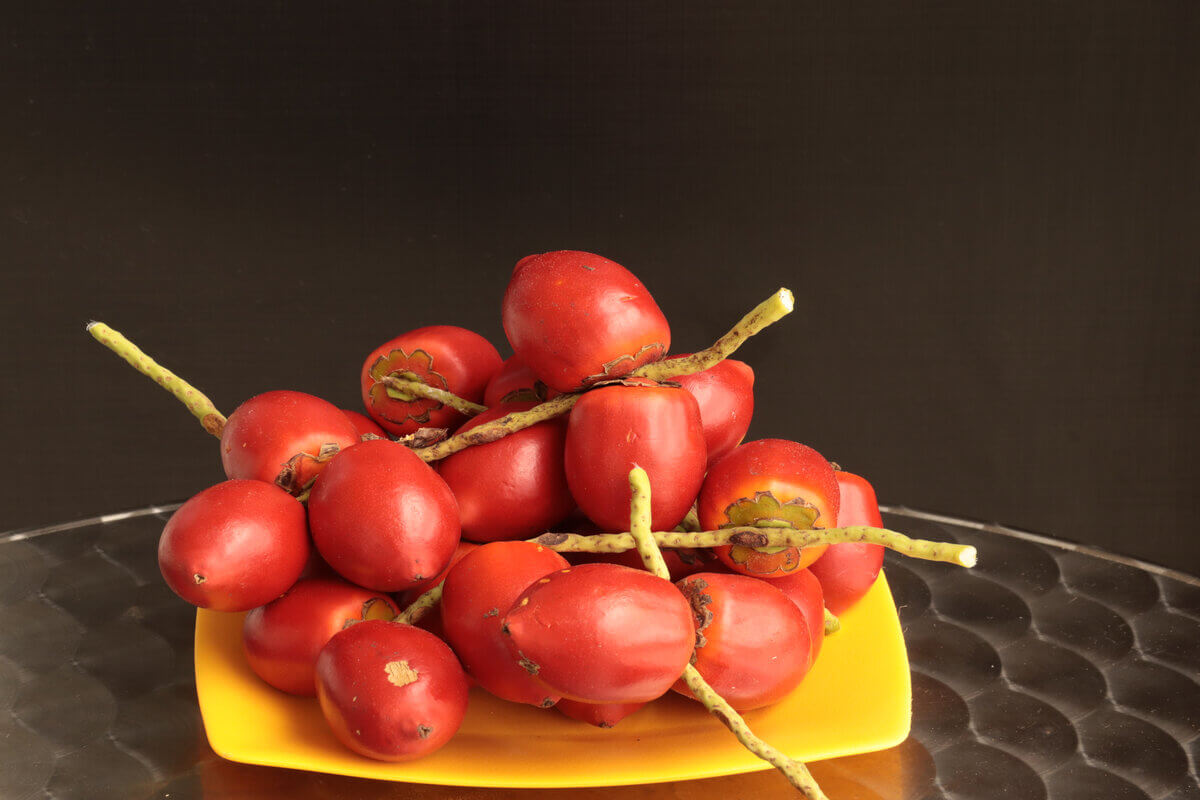 Aprenda a preparar uma deliciosa receita com pupunha