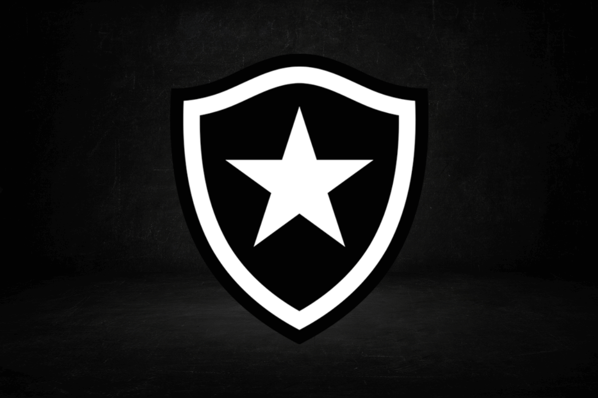 Confira a trajetória do Botafogo na história do Brasileirão