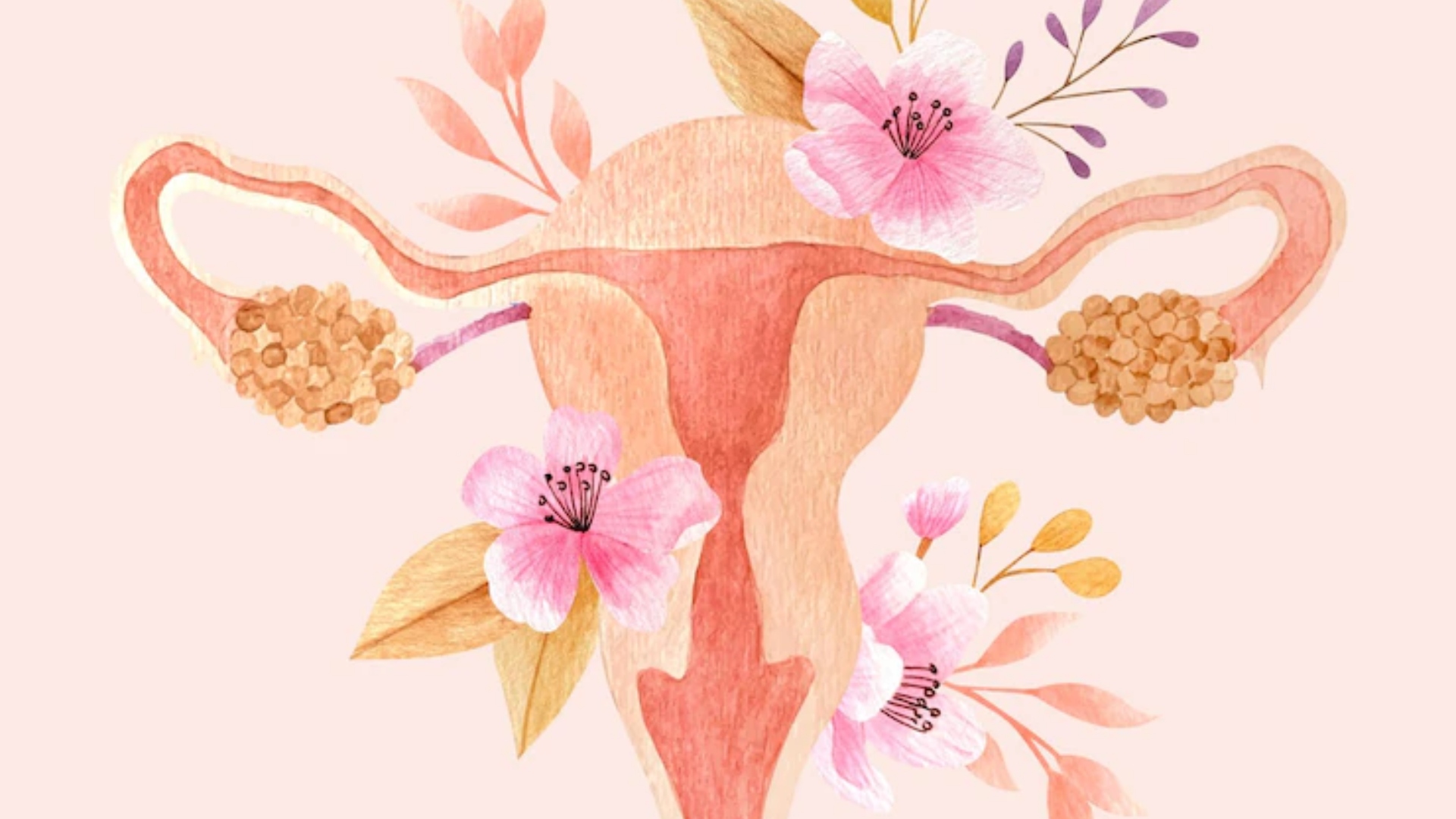 Menopausa: Mitos e verdades sobre o assunto que rodeia as mulheres