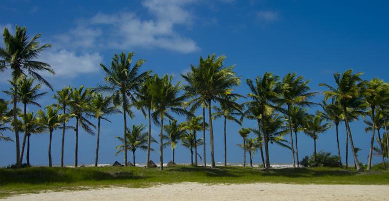 Dica de viagem: aproveite suas férias na Ilha de Comandatuba!