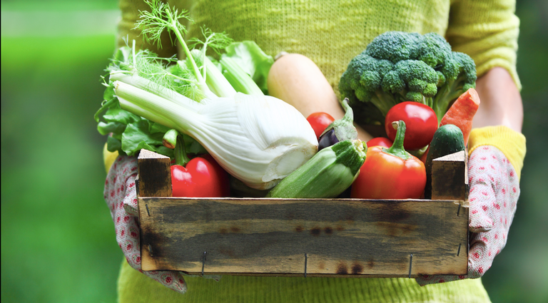 Primavera: nutricionista indica o consumo de alimentos da estação
