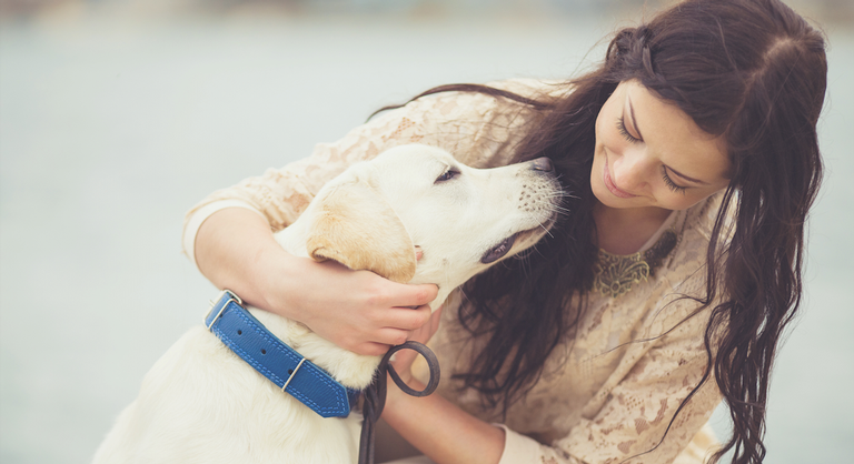 Novidades para pet lovers