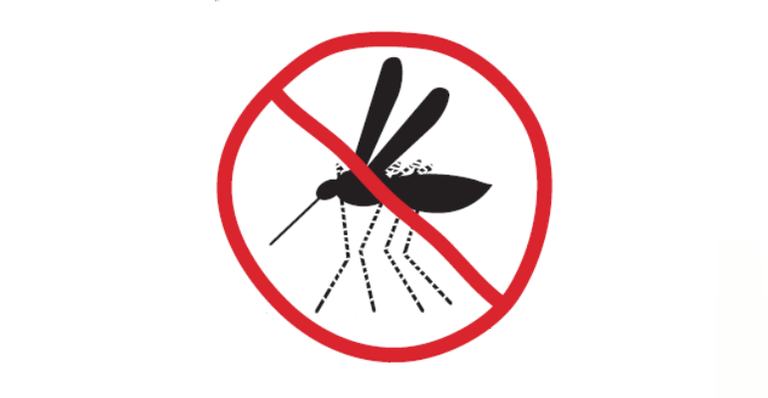 Aedes Aegypti : veja como se prevenir