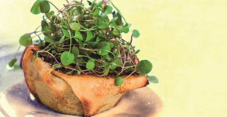 Receita do dia: Crepaze de agrião com queijo gorgonzola