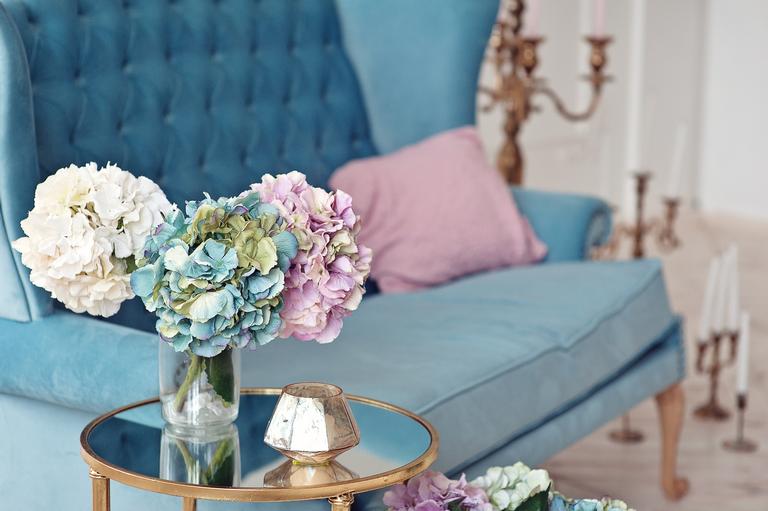 Aprenda quais as flores indicadas para ambientes internos
