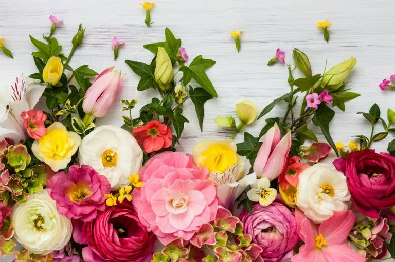 O que a sua flor favorita revela sobre você?