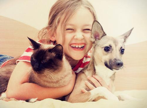Cinco principais benefícios da relação entre pets e crianças