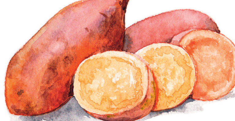 Apague a idade com batata-doce roxa