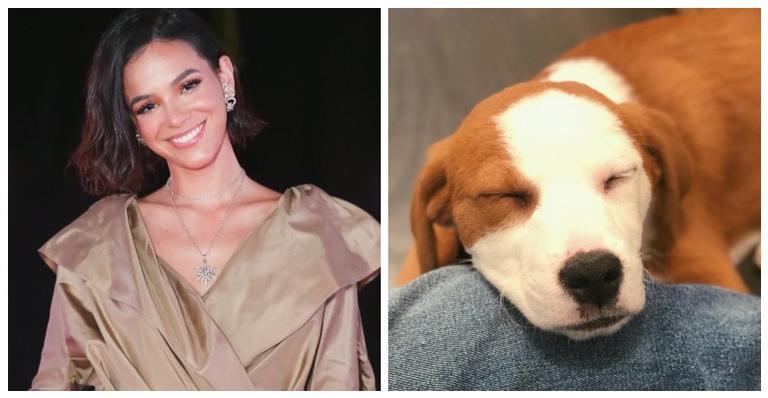 Novo pet de Bruna Marquezine agita vida da atriz e ela dispara: ”Estou com o corpo todo mordido”