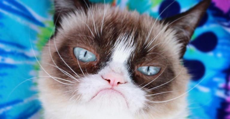 Grumpy Cat morre nos EUA e internautas lamentam: ”Cancela 2019”