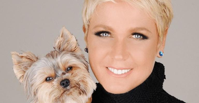 Xuxa Meneghel emociona ao deixar recado para ex-esposa de Leo Chaves: ”Vida longa”