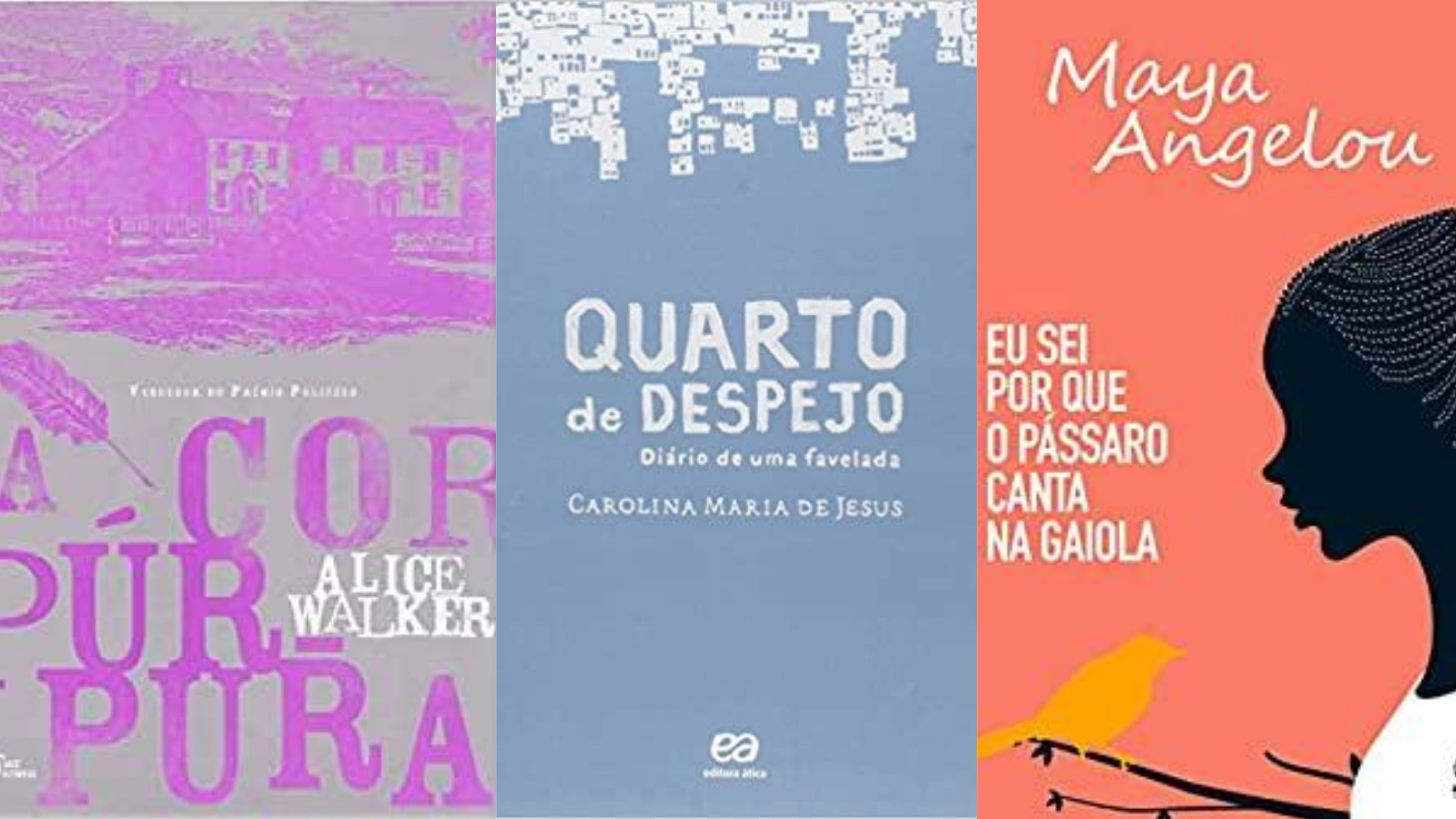 Dia da Mulher Negra: Conheça 10 obras incríveis de escritoras negras