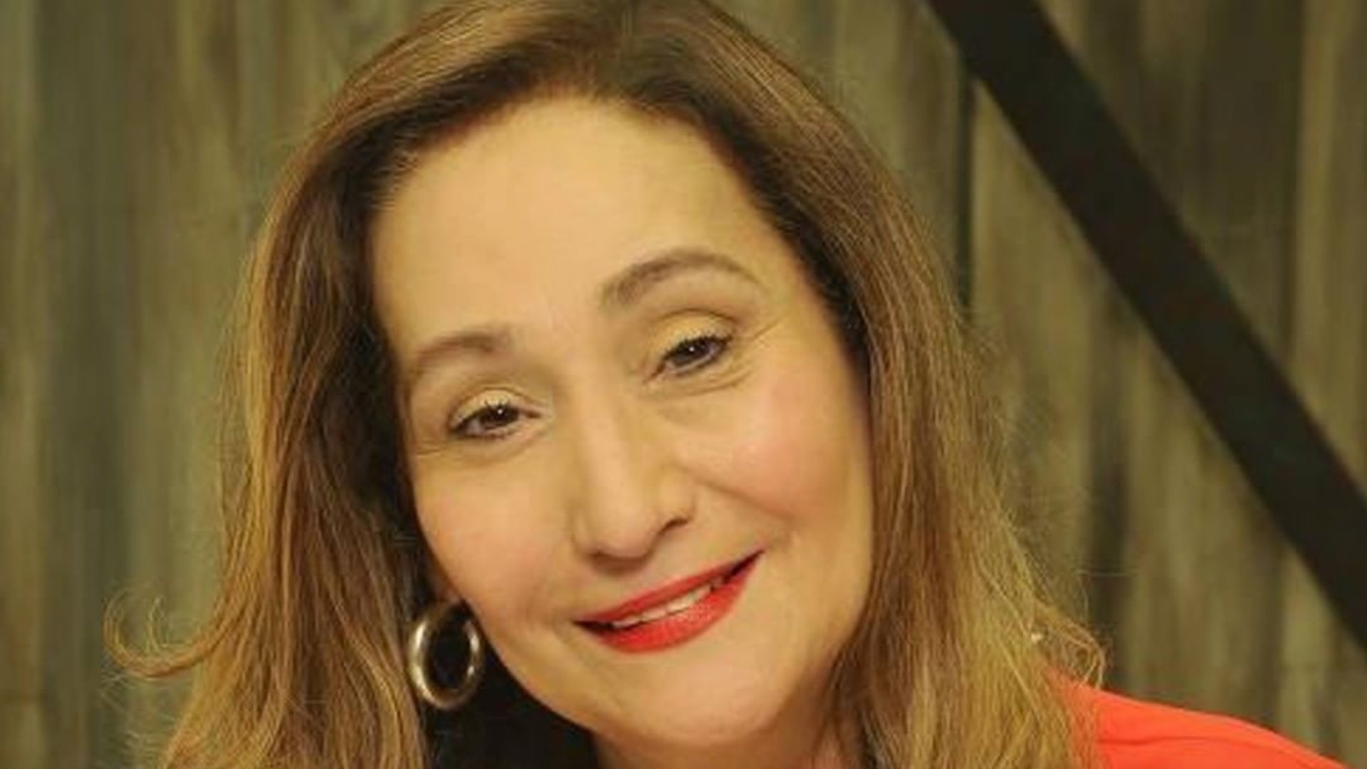 Sonia Abrão sobre comentários negativos na web: “É uma energia muito pesada”