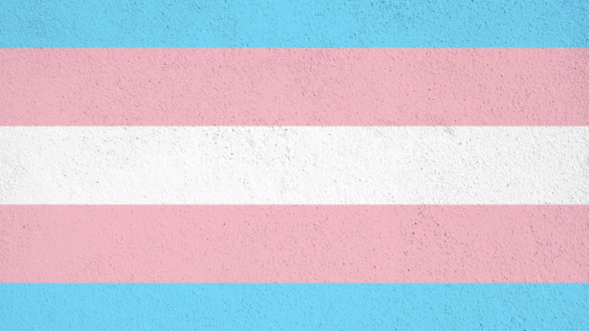 Dia Nacional da Visibilidade de Transexuais e Travestis: 4 aspectos que mudaram desde a criação da data