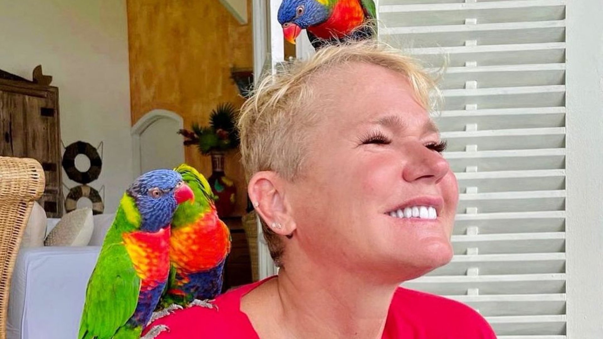 Xuxa detona pastor que incitou morte de pessoas LGBTQIA+